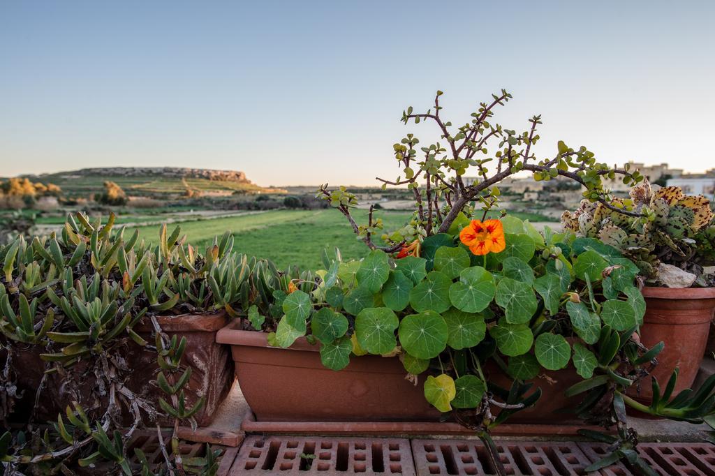 Villayana Holiday Home San Lawrenz Kamer foto